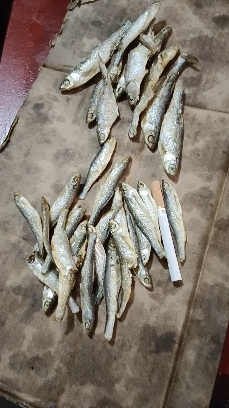 火焙条子，质量好，价格便宜，