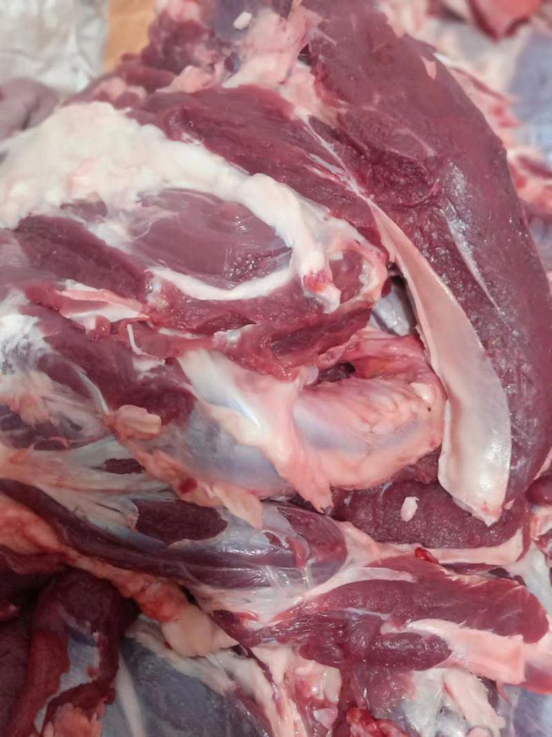 牛肉，内蒙屠宰厂直销，纯草地牛肉，量大，保证货源保证质量