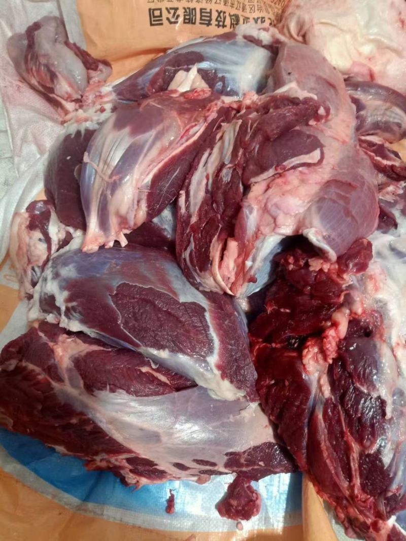 牛肉，内蒙屠宰厂直销，纯草地牛肉，量大，保证货源保证质量