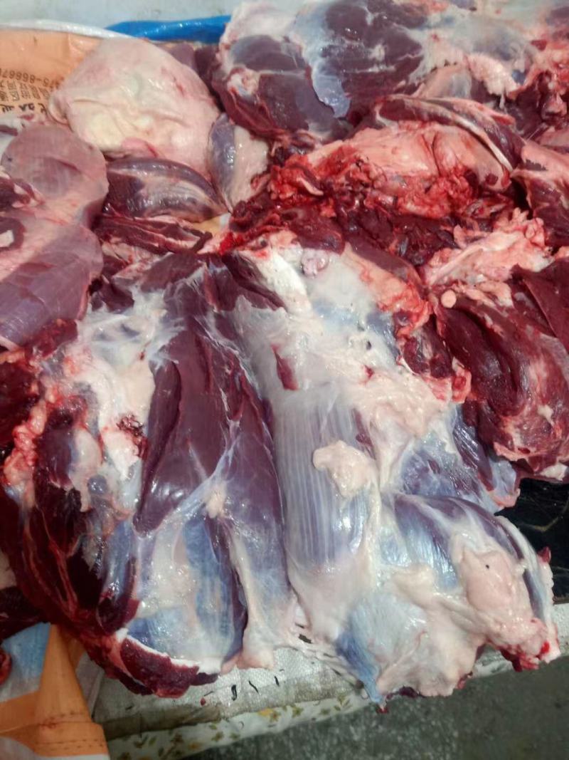 牛肉，内蒙屠宰厂直销，纯草地牛肉，量大，保证货源保证质量