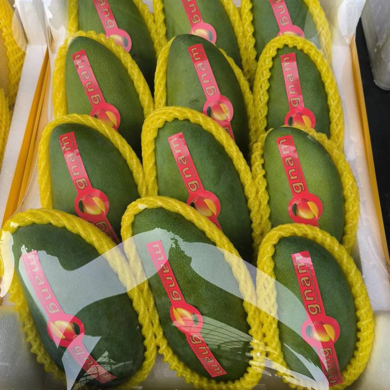 芒果，大青芒，贵妃芒，
