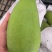 芒果，大青芒，贵妃芒，