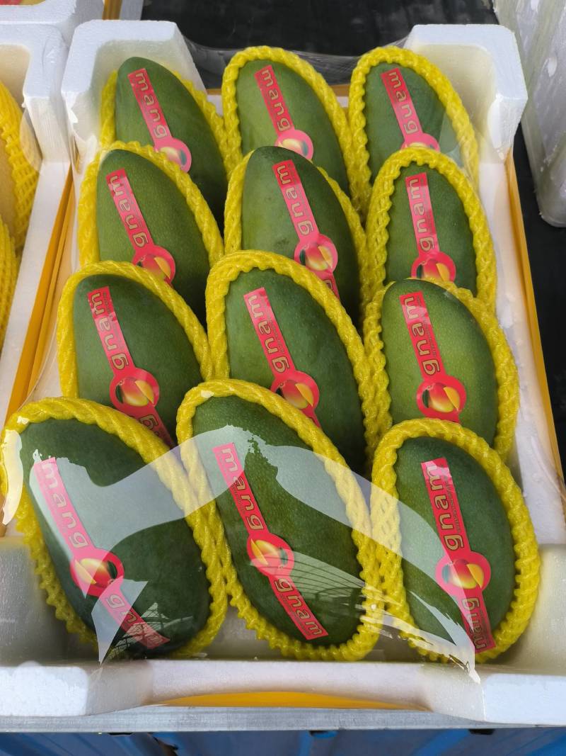 芒果，大青芒，贵妃芒，