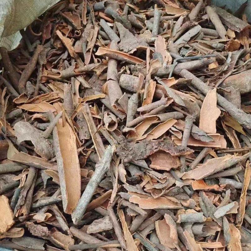 桂碎桂碎窝