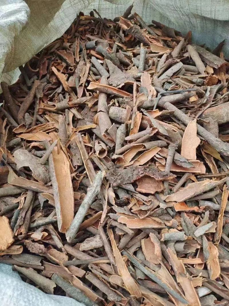桂碎桂碎窝