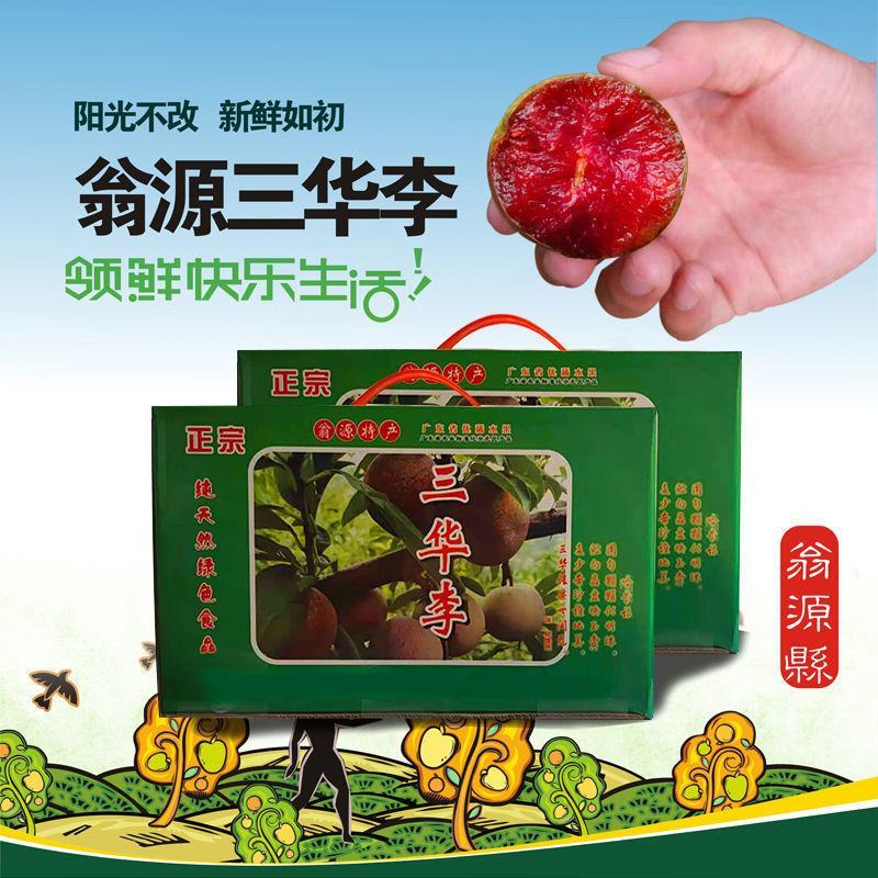 翁源三华李