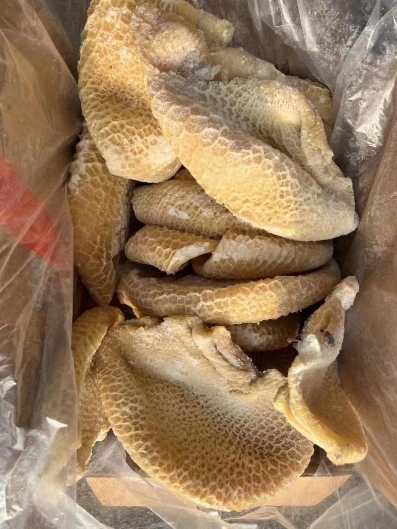 金钱肚巴西金钱半成品九成一单五吨位起兄弟帅哥牛肚打骨折了