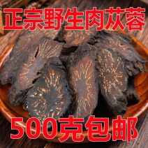 肉苁蓉野生阿拉善整根切片鲜干片滋补持久肉苁蓉粉正宗泡酒