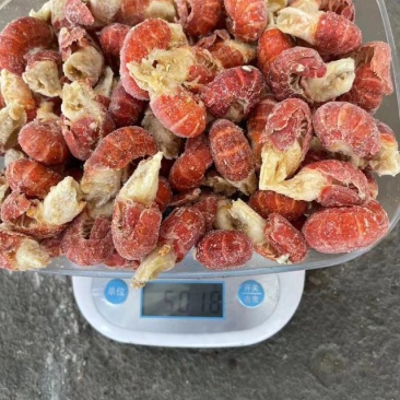 龙虾尾厂家直销