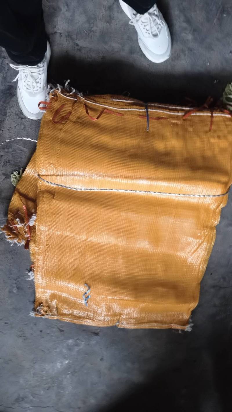 竹笋