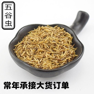老店产品五谷虫无骨虫宠物粮食优质中药材实体店经营