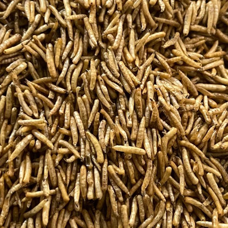 老店产品五谷虫无骨虫宠物粮食优质中药材实体店经营