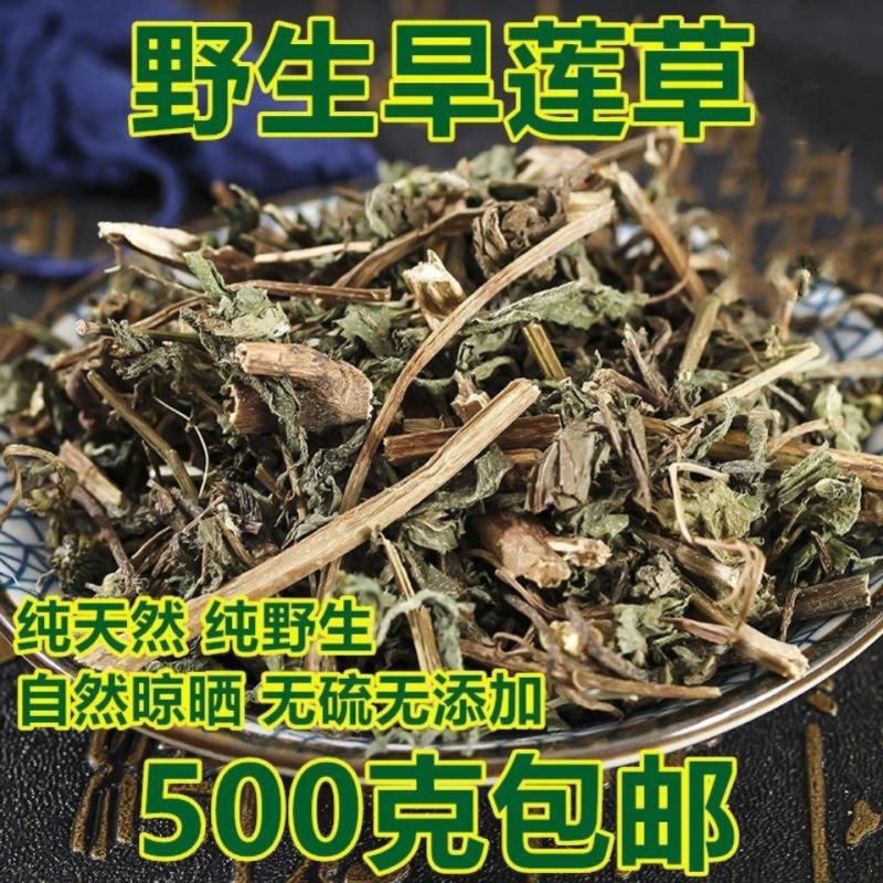 旱莲草500g中药材墨旱莲旱连旱莲草女贞子包邮