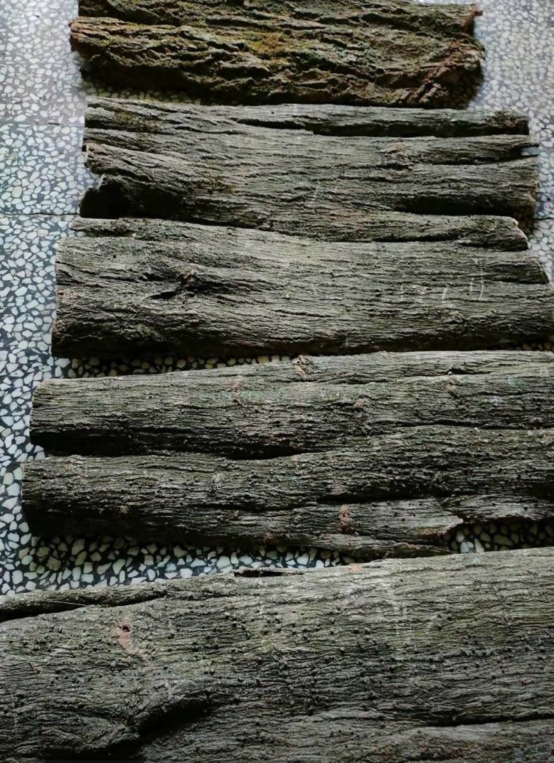 秦巴山区杜仲板皮杜仲卷筒产地直供一手货源整车走货欢迎咨询