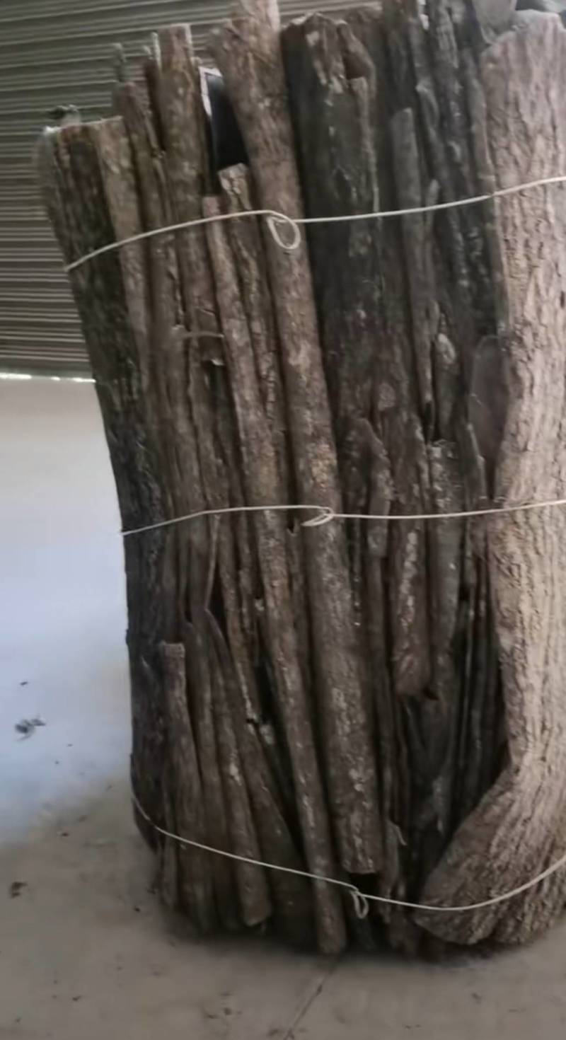 秦巴山区杜仲板皮杜仲卷筒产地直供一手货源整车走货欢迎咨询