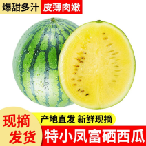 特小凤小兰西瓜黄瓤黄心西瓜9成熟产地直供货源充足