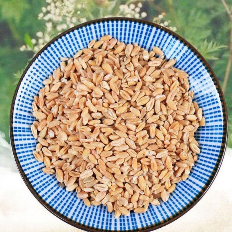 中药材浮小麦小麦浮小麦正品浮小麦茶干瘪小麦