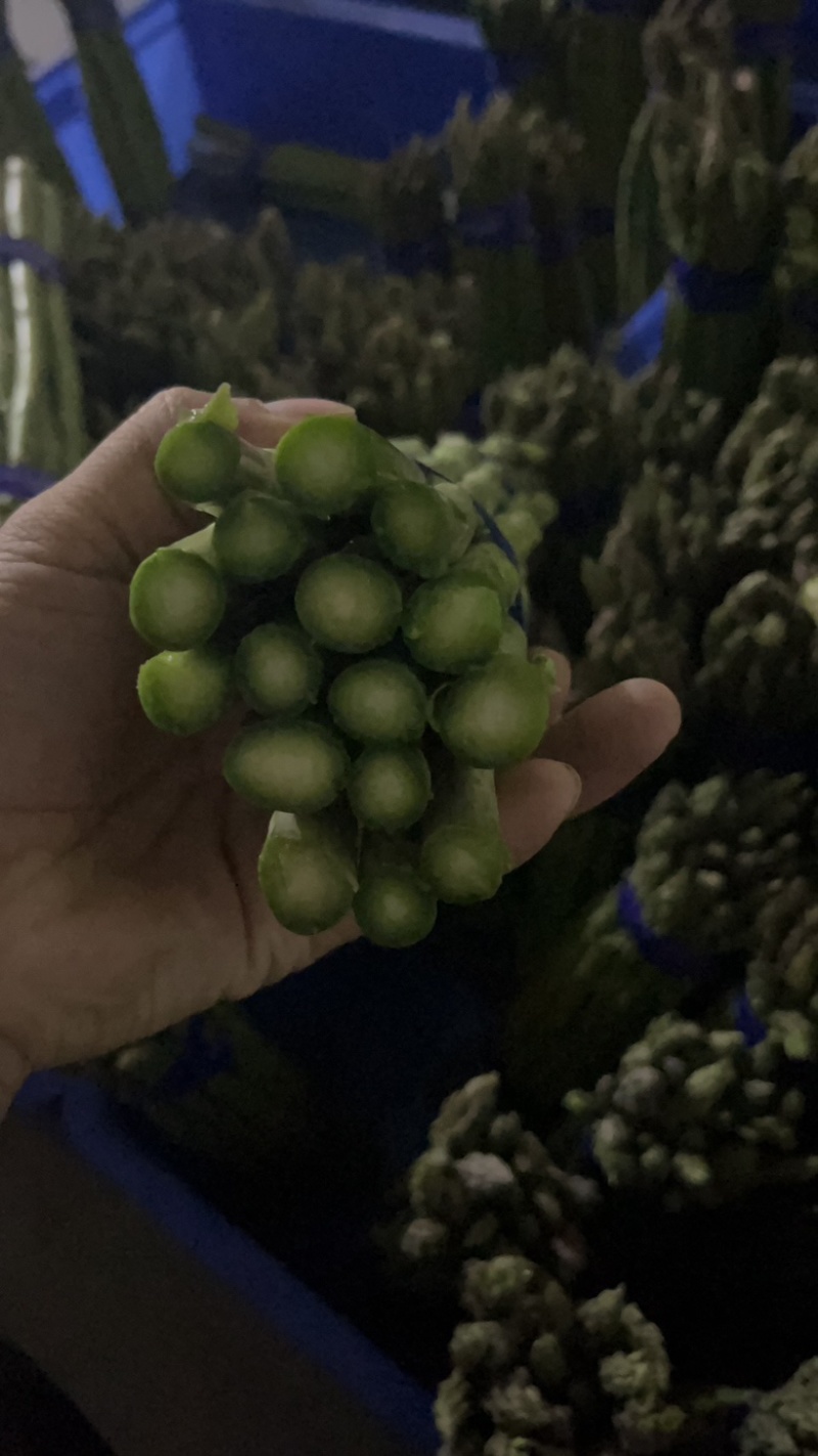 活动搞起来
