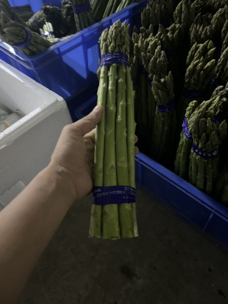 活动搞起来