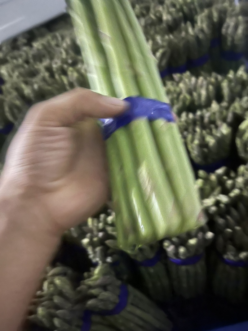 活动搞起来