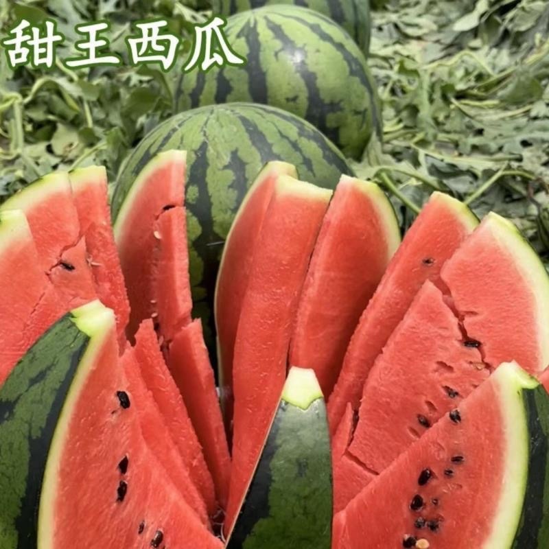 【实力代发全国】8424西瓜陕西渭南甜王西瓜，产地一手货