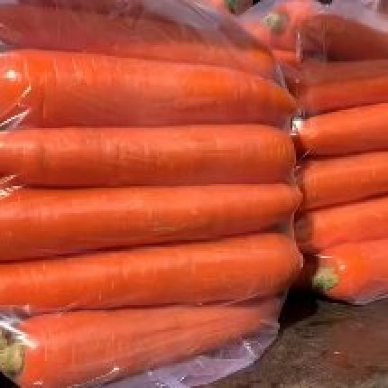 精品胡萝卜316大量上市基地直供一手货源品质保证诚信经营