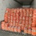 精品胡萝卜316大量上市基地直供一手货源品质保证诚信经营