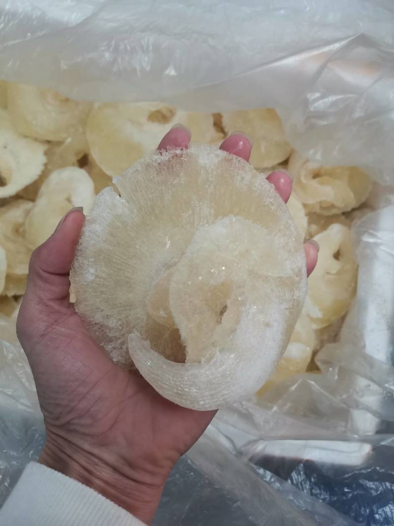 水发金勾翅牙栋翅