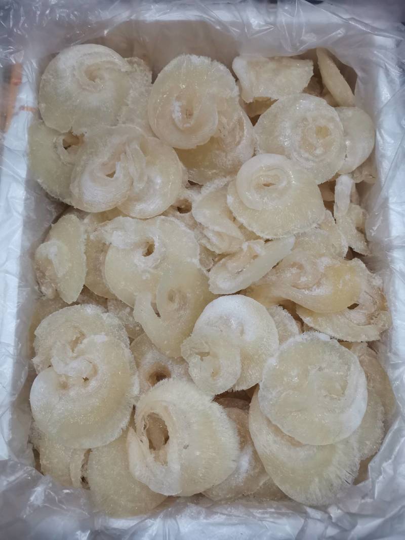 水发金勾翅牙栋翅