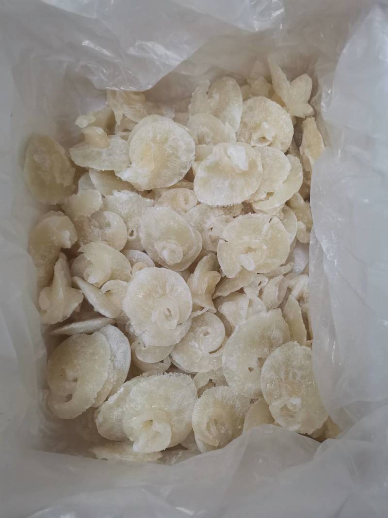 水发金勾翅牙栋翅