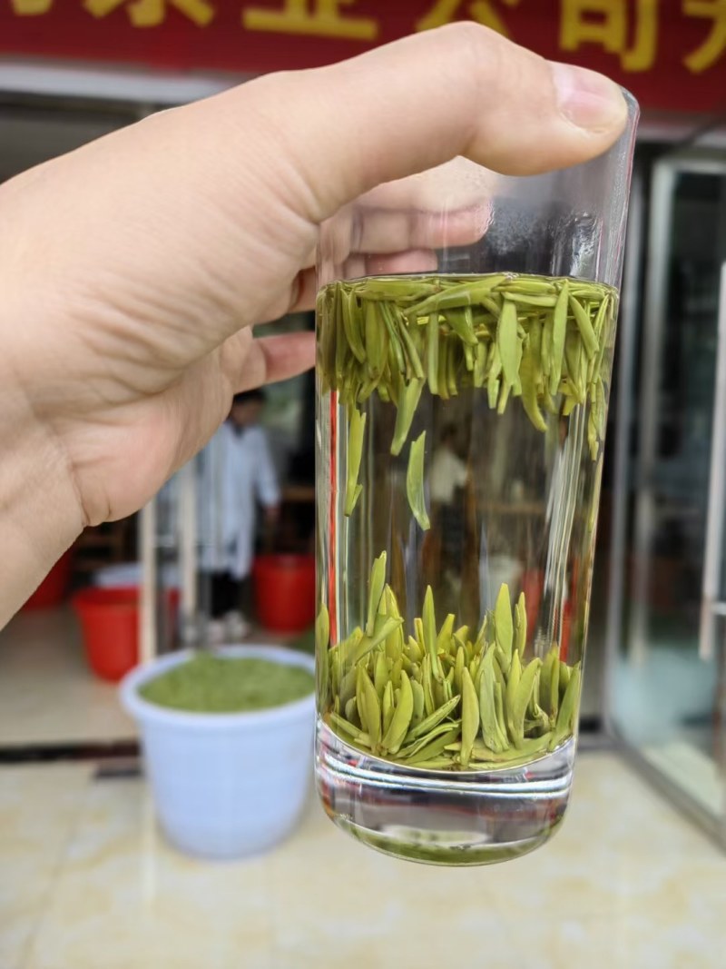 绿茶