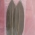 粽叶、小竹叶