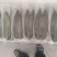 粽叶、小竹叶