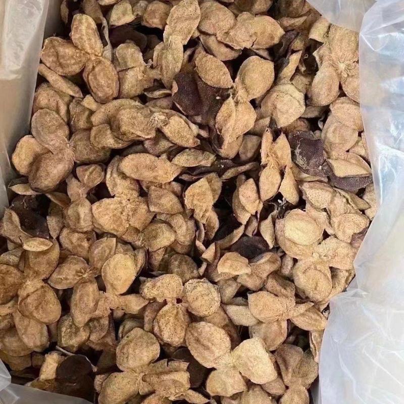 陈皮干500g正宗陈皮丝天然陈皮橘皮老陈皮泡茶泡水