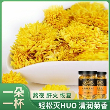 菊花茶金丝皇菊菊花茶一朵一杯大朵金丝皇菊一朵一杯大菊花