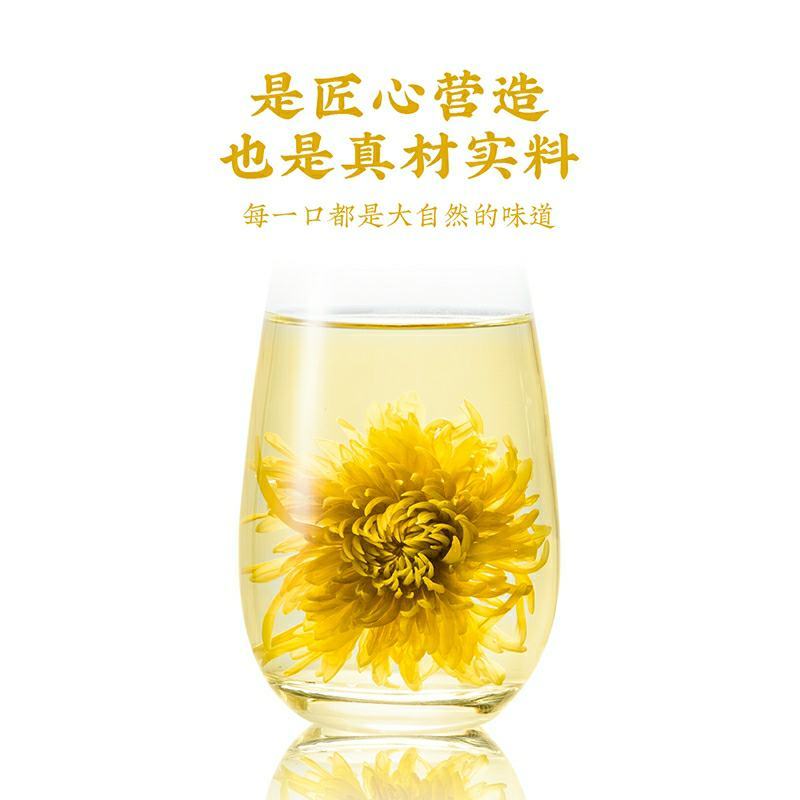 菊花茶金丝皇菊菊花茶一朵一杯大朵金丝皇菊一朵一杯大菊花