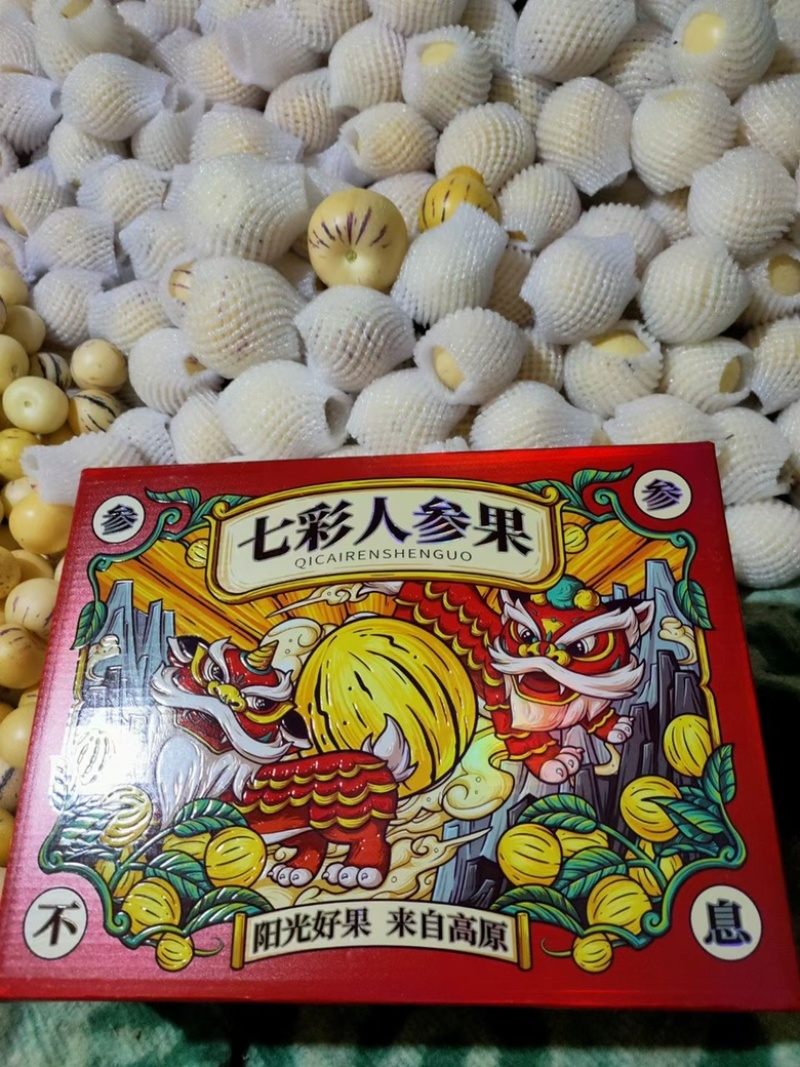 人参果大量销售