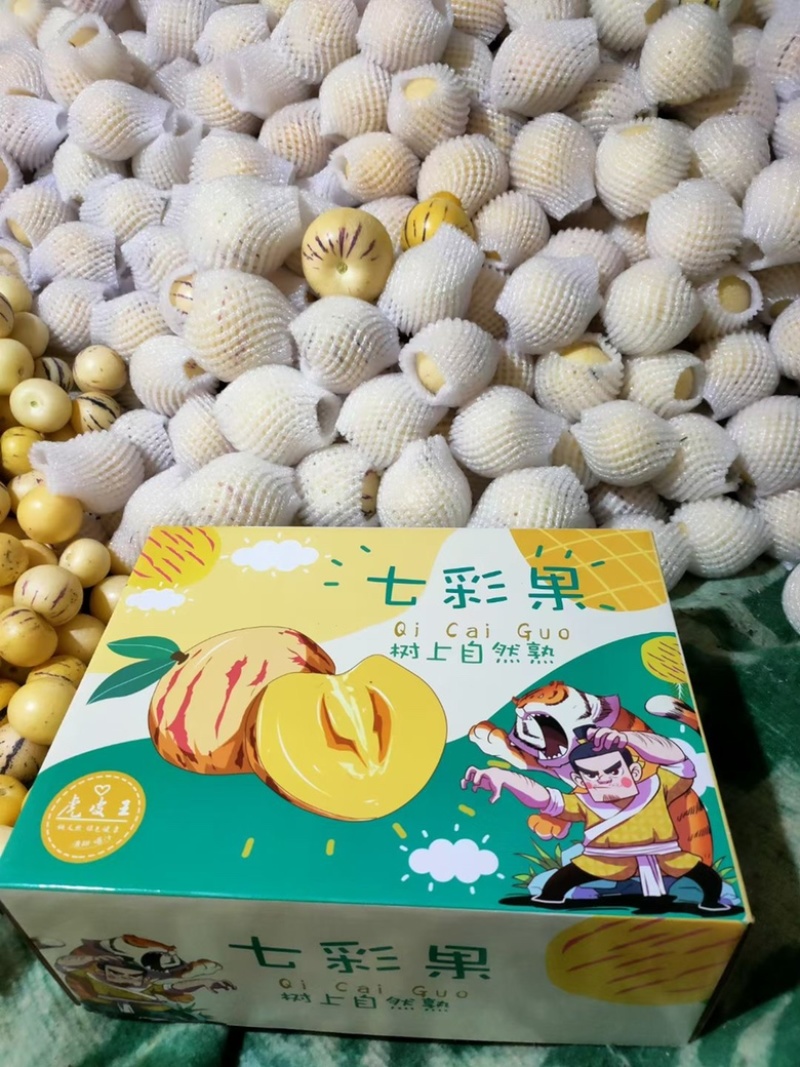 人参果大量销售
