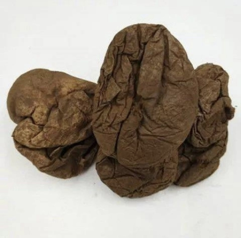 马脖马屁泡文斌药业批发零售保证品质