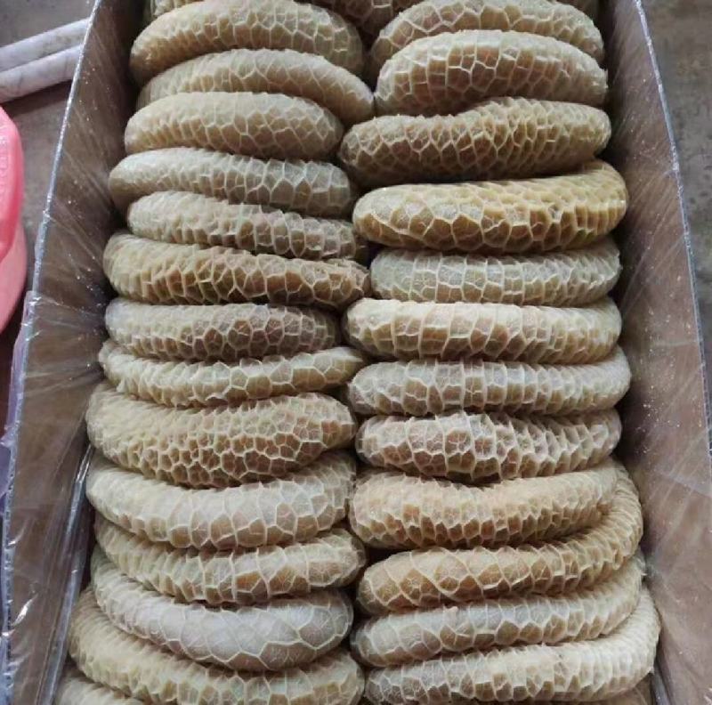 河南郑州厂家直发金钱肚一手货源批发品质保证价格美丽