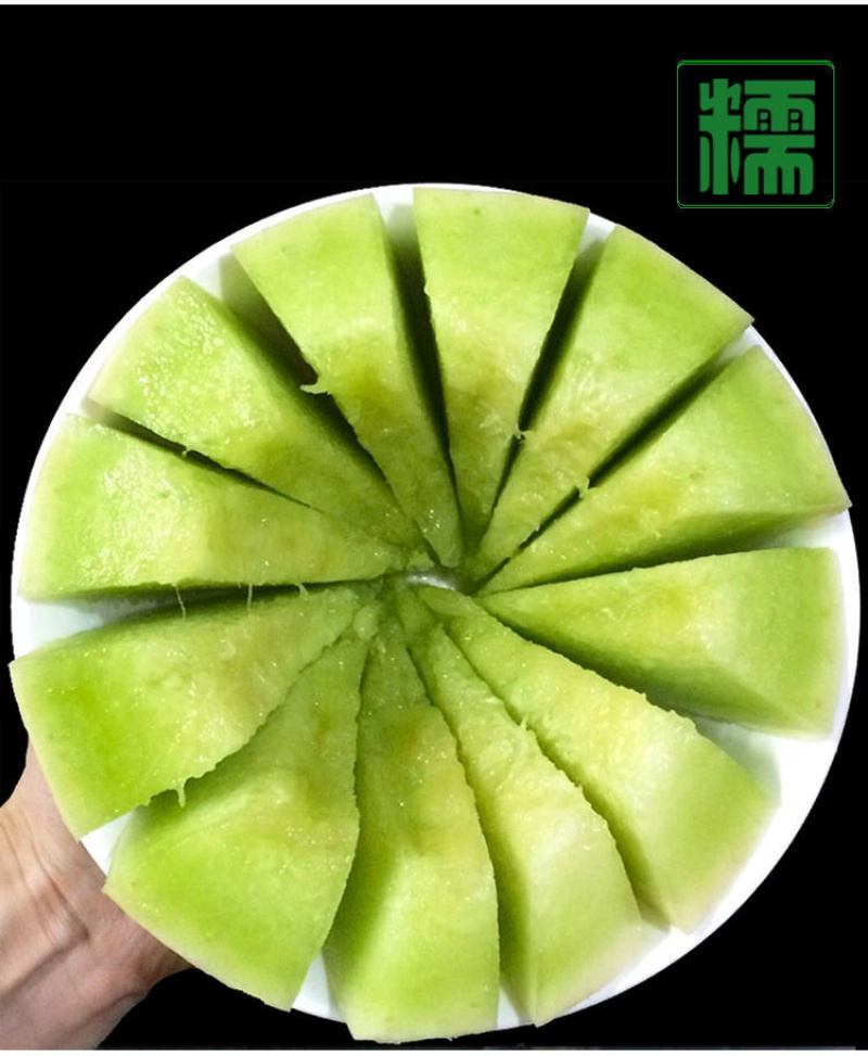 甜瓜玉姑甜瓜大批量上市了需要的老板可以到地看货货美价廉