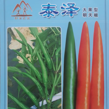 【新品上市】朝天椒种子—指天椒种植—朝天椒产地
