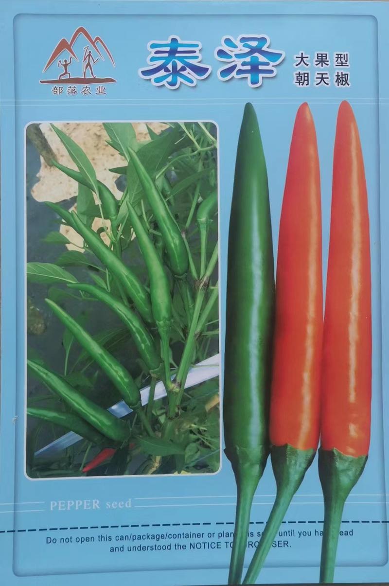 【新品上市】朝天椒种子—指天椒种植—朝天椒产地