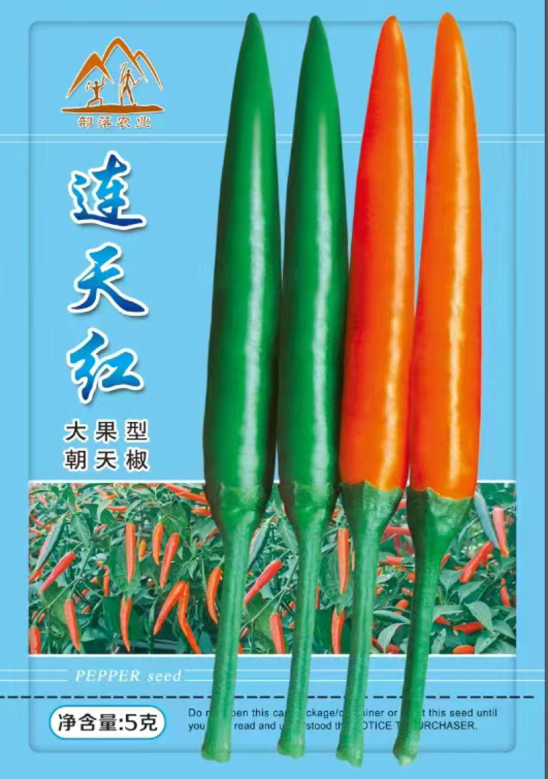 【热卖推荐】高产连天红辣椒种子—朝天椒种植—指天椒产地
