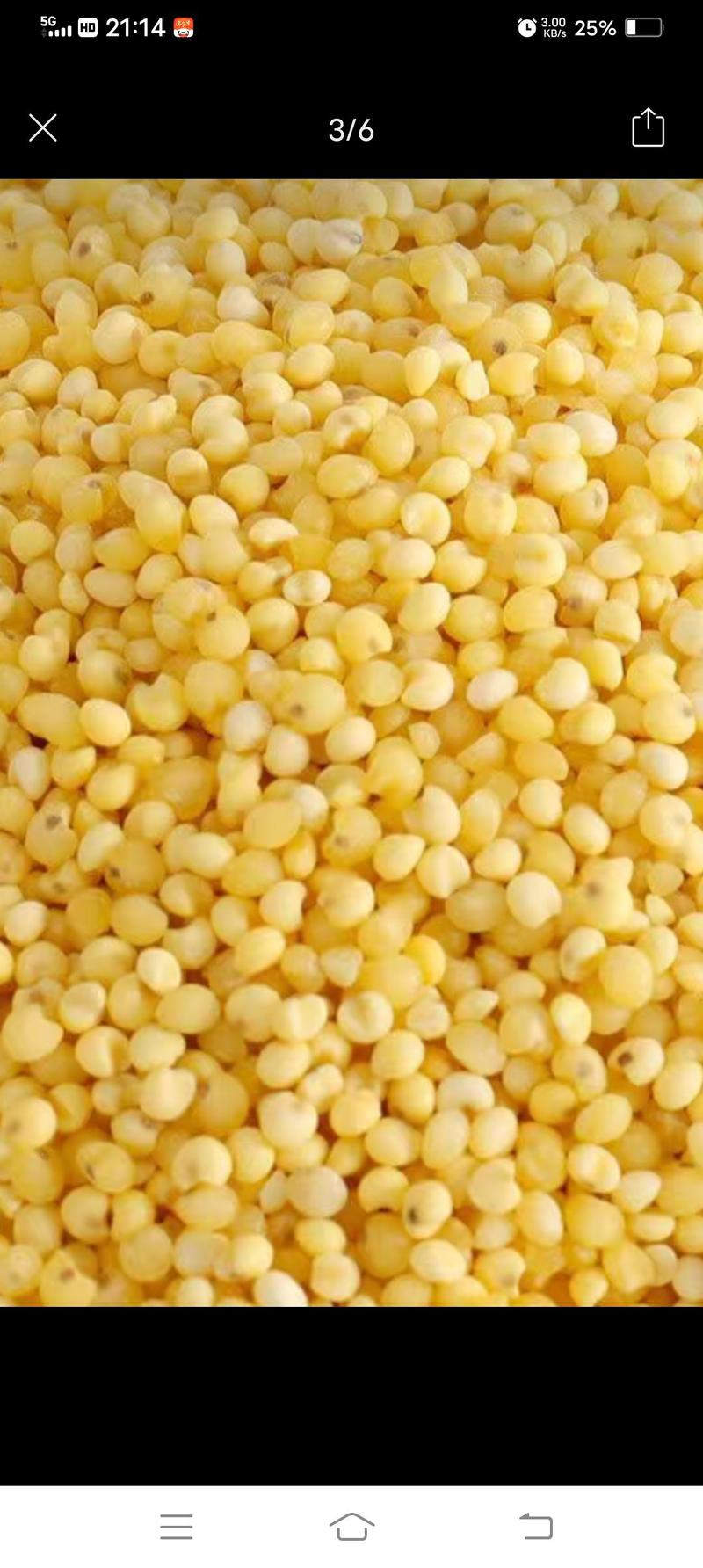 陕北大黄米，当年新米，来自农村无农药少化肥粗粮