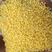 陕北大黄米，当年新米，来自农村无农药少化肥粗粮