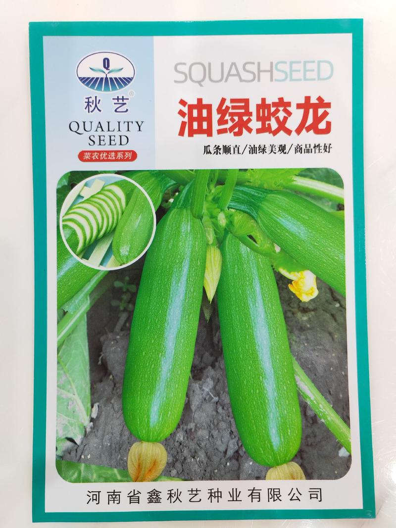 【精】郑研华福西葫芦种子50g，耐高温，抗逆能力强