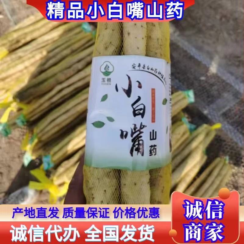 安平小白嘴山药产地直供，一手货源，量大质优，全国发货，