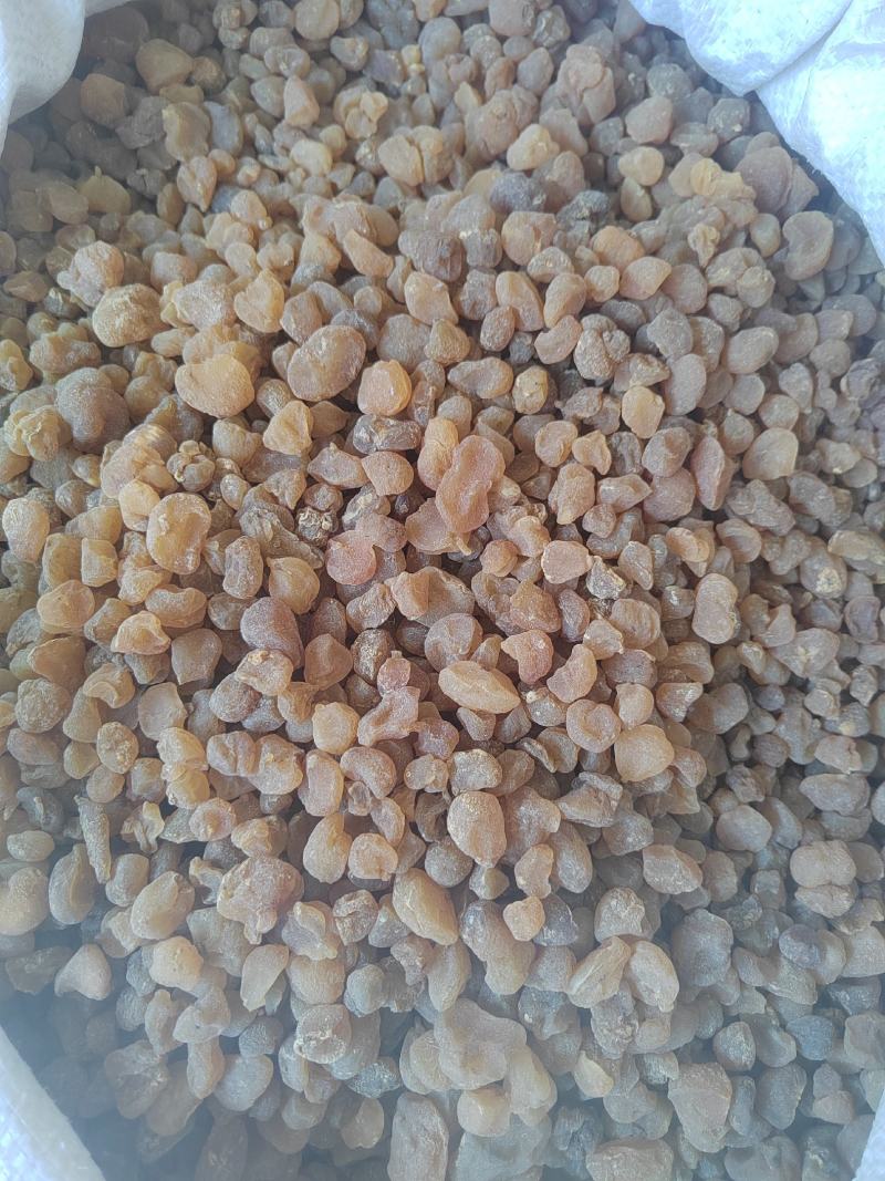 土贝母，精选中药材正品土贝，丹丹中药材批发