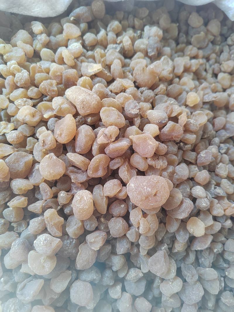 土贝母，精选中药材正品土贝，丹丹中药材批发